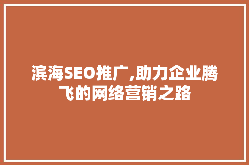 滨海SEO推广,助力企业腾飞的网络营销之路