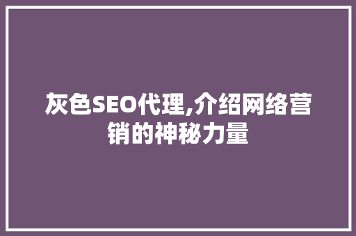 灰色SEO代理,介绍网络营销的神秘力量