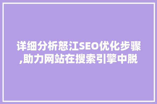 详细分析怒江SEO优化步骤,助力网站在搜索引擎中脱颖而出