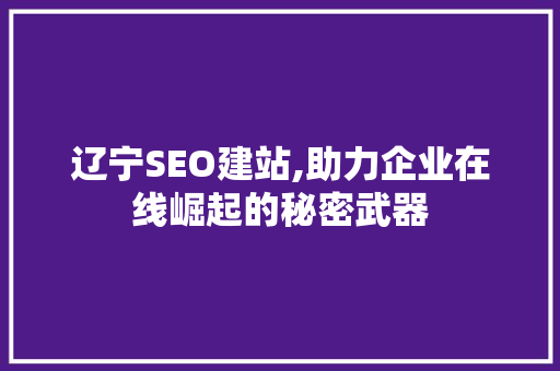辽宁SEO建站,助力企业在线崛起的秘密武器
