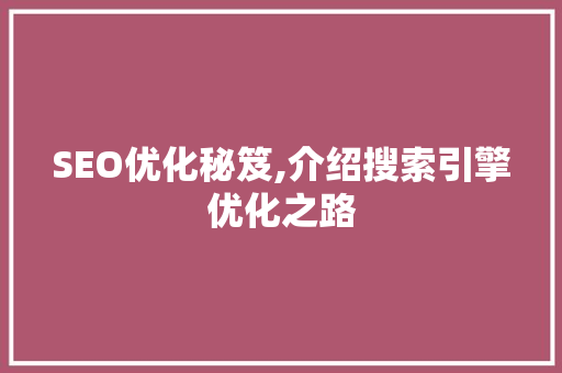 SEO优化秘笈,介绍搜索引擎优化之路