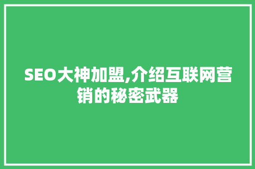 SEO大神加盟,介绍互联网营销的秘密武器
