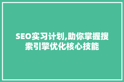 SEO实习计划,助你掌握搜索引擎优化核心技能 百度SEO