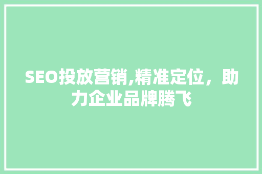 SEO投放营销,精准定位，助力企业品牌腾飞 必应SEO
