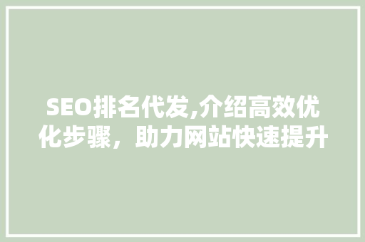 SEO排名代发,介绍高效优化步骤，助力网站快速提升排名 神马SEO