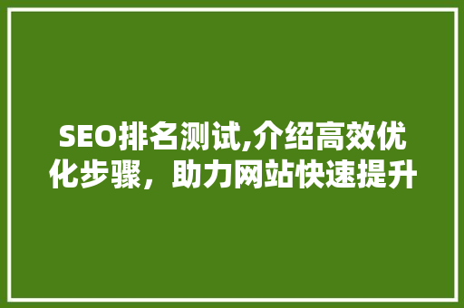 SEO排名测试,介绍高效优化步骤，助力网站快速提升流量 神马SEO