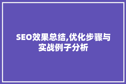 SEO效果总结,优化步骤与实战例子分析 必应SEO