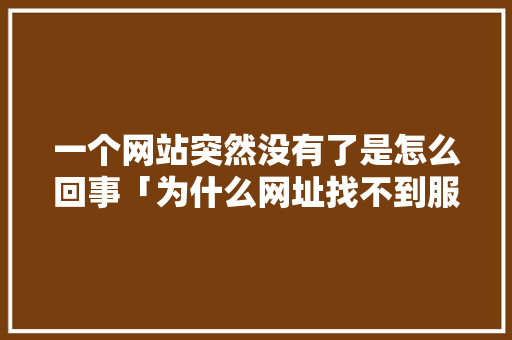 一个网站突然没有了是怎么回事「为什么网址找不到服务器」 一个网站突然没有了是怎么回事「为什么网址找不到服务器」 百度SEO