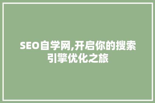 SEO自学网,开启你的搜索引擎优化之旅