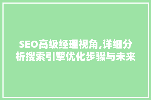 SEO高级经理视角,详细分析搜索引擎优化步骤与未来趋势 百度SEO