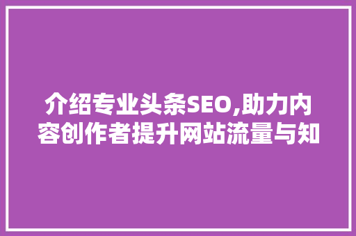 介绍专业头条SEO,助力内容创作者提升网站流量与知名度