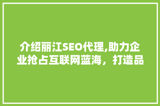 介绍丽江SEO代理,助力企业抢占互联网蓝海，打造品牌新高度