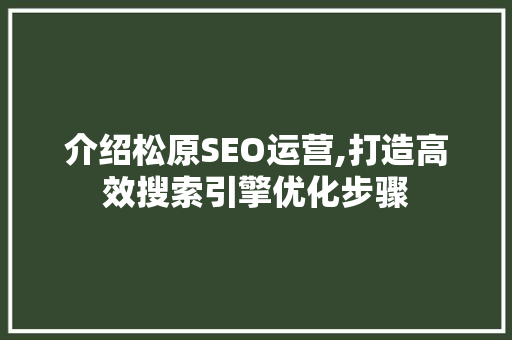 介绍松原SEO运营,打造高效搜索引擎优化步骤