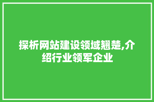 探析网站建设领域翘楚,介绍行业领军企业 神马SEO