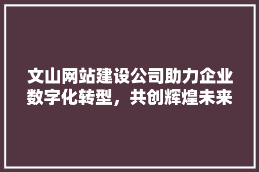 文山网站建设公司助力企业数字化转型，共创辉煌未来 必应SEO