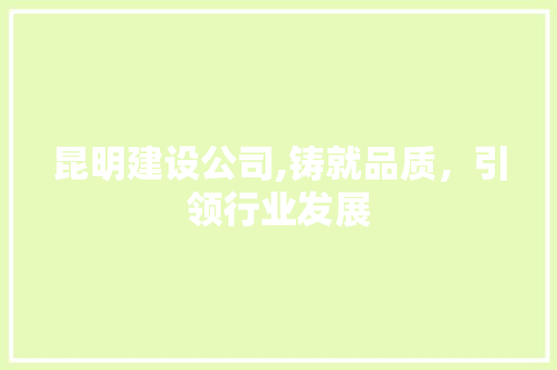 昆明建设公司,铸就品质，引领行业发展 必应SEO
