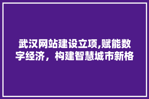 武汉网站建设立项,赋能数字经济，构建智慧城市新格局 神马SEO