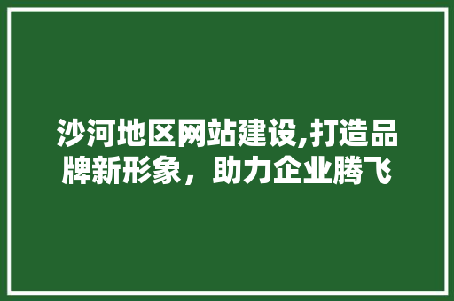 沙河地区网站建设,打造品牌新形象，助力企业腾飞