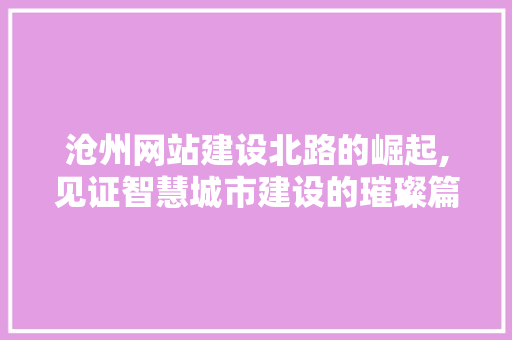 沧州网站建设北路的崛起,见证智慧城市建设的璀璨篇章 GoogleSEO