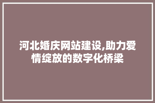 河北婚庆网站建设,助力爱情绽放的数字化桥梁 GoogleSEO