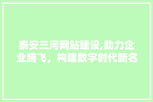 泰安三河网站建设,助力企业腾飞，构建数字时代新名片