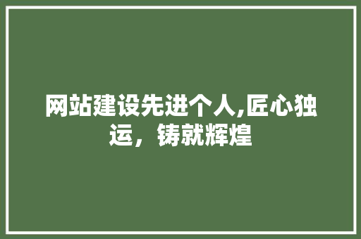 网站建设先进个人,匠心独运，铸就辉煌
