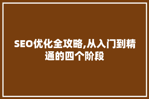 SEO优化全攻略,从入门到精通的四个阶段 百度SEO