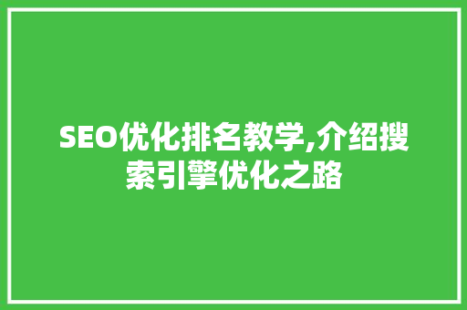 SEO优化排名教学,介绍搜索引擎优化之路 百度SEO