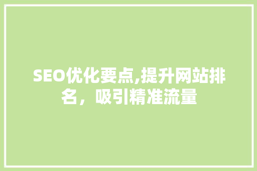 SEO优化要点,提升网站排名，吸引精准流量 百度SEO