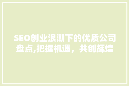 SEO创业浪潮下的优质公司盘点,把握机遇，共创辉煌