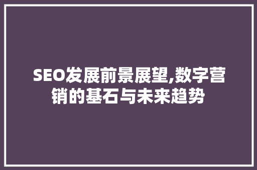 SEO发展前景展望,数字营销的基石与未来趋势