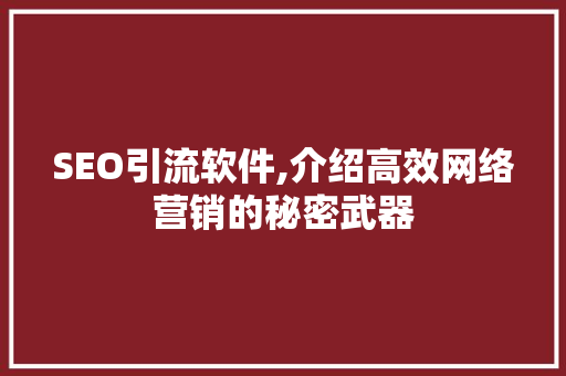 SEO引流软件,介绍高效网络营销的秘密武器 百度SEO