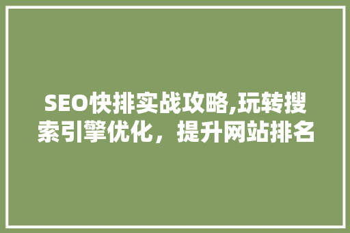 SEO快排实战攻略,玩转搜索引擎优化，提升网站排名 百度SEO