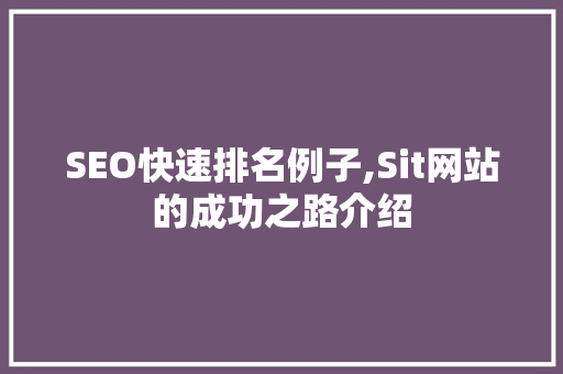 SEO快速排名例子,Sit网站的成功之路介绍 必应SEO
