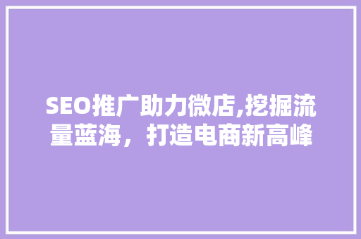 SEO推广助力微店,挖掘流量蓝海，打造电商新高峰 搜狗SEO