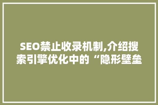 SEO禁止收录机制,介绍搜索引擎优化中的“隐形壁垒”