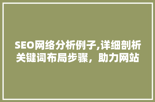 SEO网络分析例子,详细剖析关键词布局步骤，助力网站优化提升