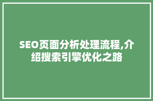 SEO页面分析处理流程,介绍搜索引擎优化之路 神马SEO