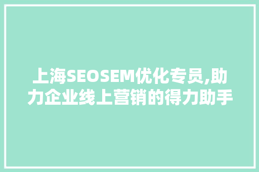 上海SEOSEM优化专员,助力企业线上营销的得力助手 搜狗SEO