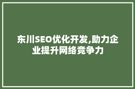 东川SEO优化开发,助力企业提升网络竞争力
