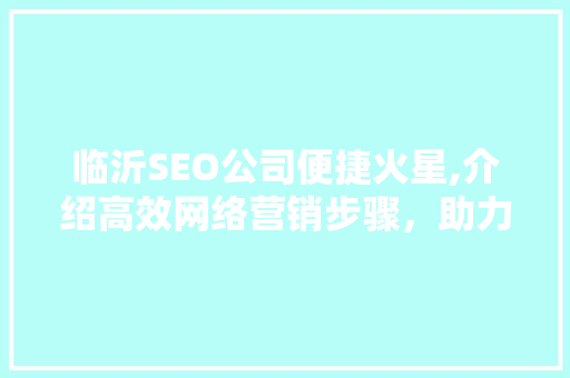 临沂SEO公司便捷火星,介绍高效网络营销步骤，助力企业腾飞