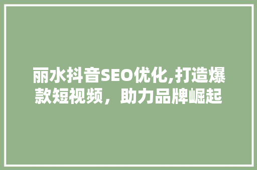 丽水抖音SEO优化,打造爆款短视频，助力品牌崛起