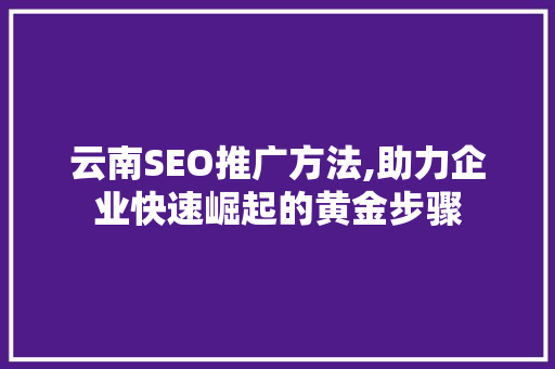 云南SEO推广方法,助力企业快速崛起的黄金步骤 必应SEO