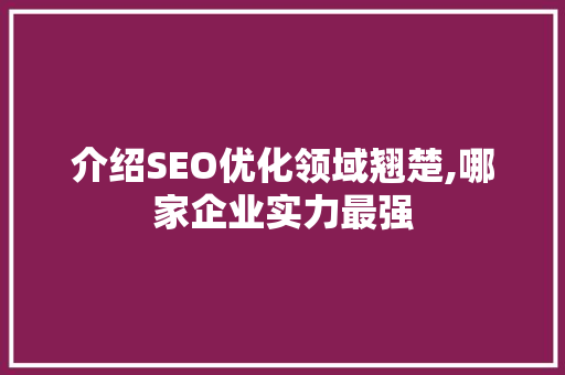 介绍SEO优化领域翘楚,哪家企业实力最强