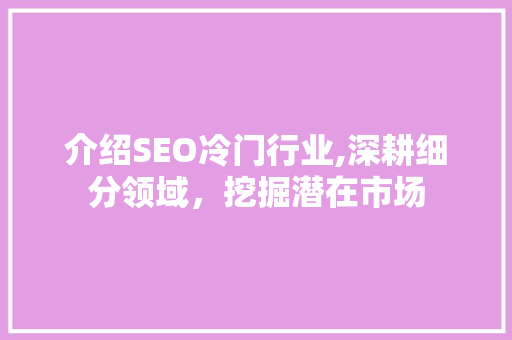 介绍SEO冷门行业,深耕细分领域，挖掘潜在市场