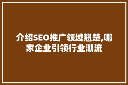 介绍SEO推广领域翘楚,哪家企业引领行业潮流 必应SEO