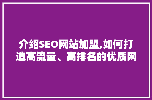 介绍SEO网站加盟,如何打造高流量、高排名的优质网站