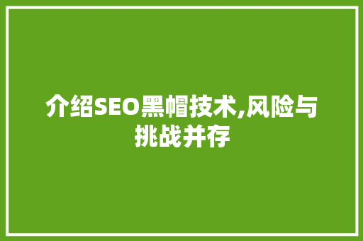介绍SEO黑帽技术,风险与挑战并存 必应SEO