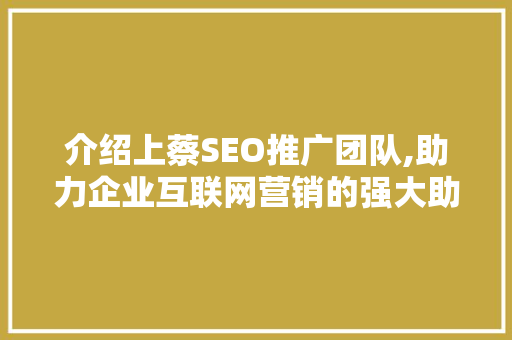 介绍上蔡SEO推广团队,助力企业互联网营销的强大助力