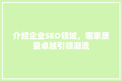 介绍企业SEO领域，哪家质量卓越引领潮流 必应SEO